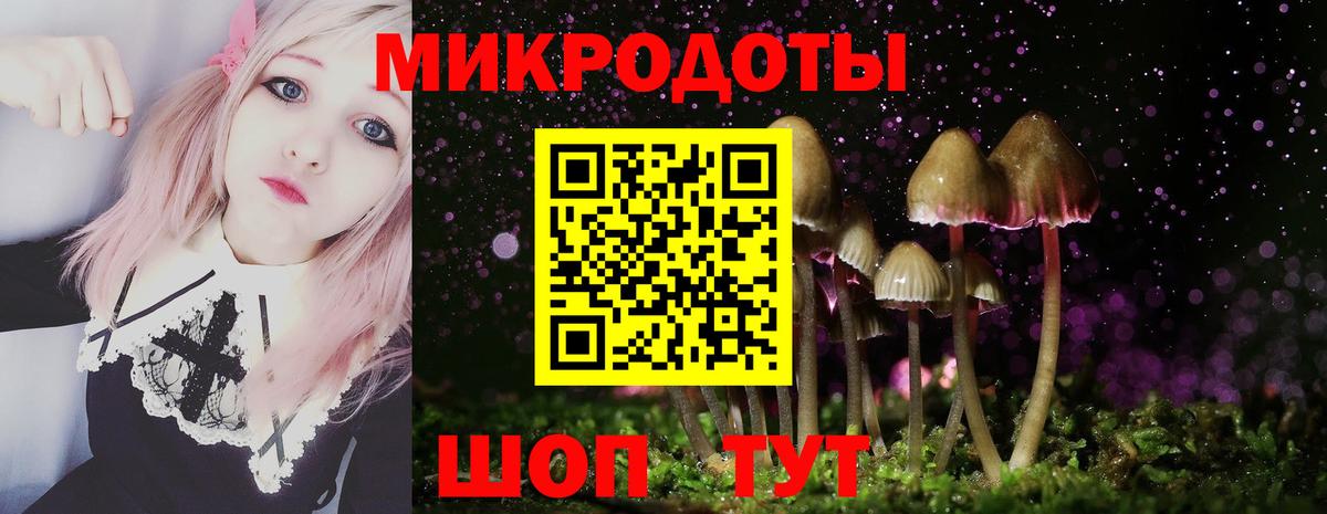 Псилоцибиновые грибы MAGIC MUSHROOMS  Вход с VPN  Галлюциногенные грибы прущие грибы  Минеральные Воды 